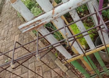 Hama Ulat Bulu Serang Rumah Warga Cikupa Tangerang