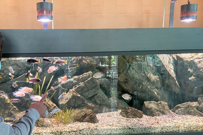 Foto: Aquarium hasil sewa Pemerintah Kota Tangerang Selatan (Tangsel) dengan biaya sewa hampir Rp200 juta | Tangerangupdate.com